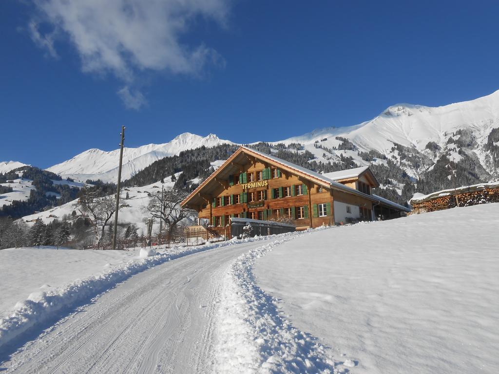 Terminus Reinisch Daire Frutigen Dış mekan fotoğraf